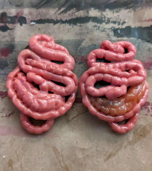 Sculpted polymer clay "guts" earrings (no paint)